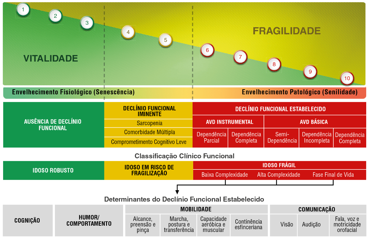 Escala visual de Vunerabilidade.png