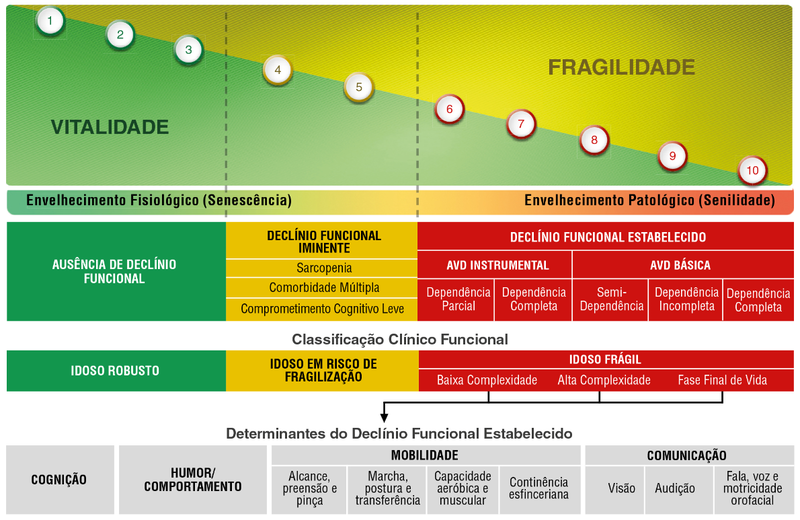 Escala visual de Vunerabilidade- Menor.png