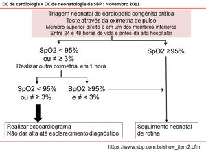 Fluxogramateste.jpg